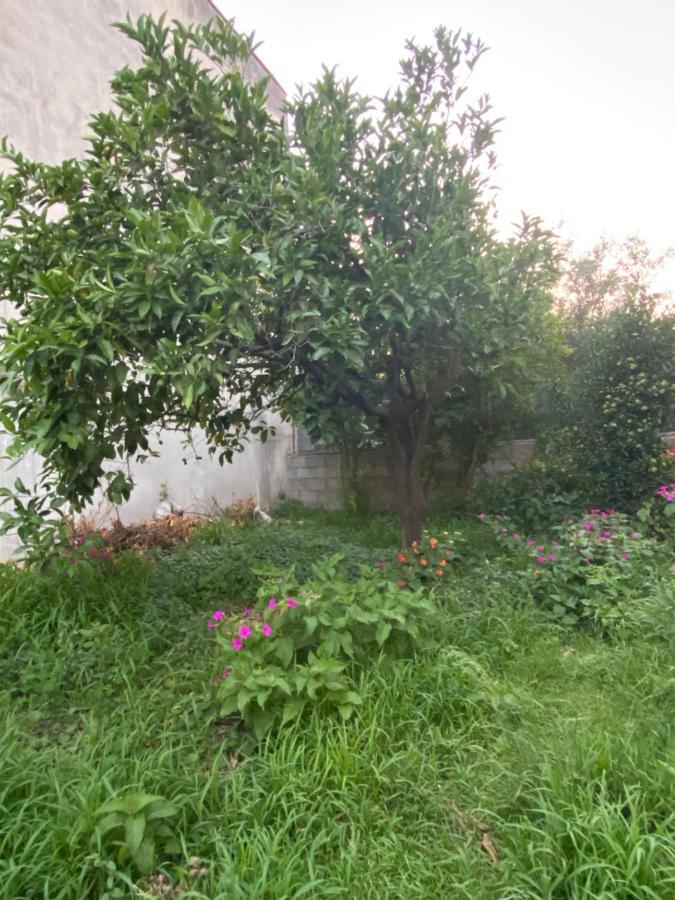 San Nicolo d'Arcidano L'Incognita B&B 외부 사진